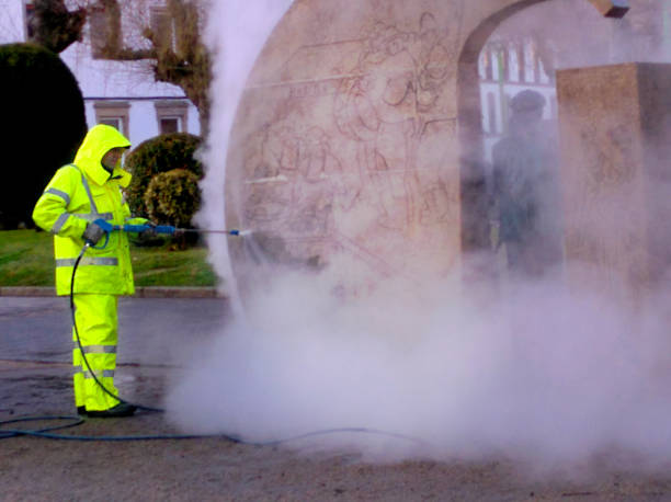Best Roof Pressure Washing  in Saylorsburg, PA